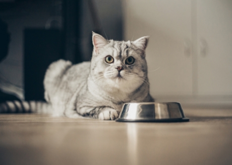 Zaspokaja dzienne zapotrzebowanie