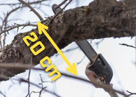 Długość prowadnicy 20 cm