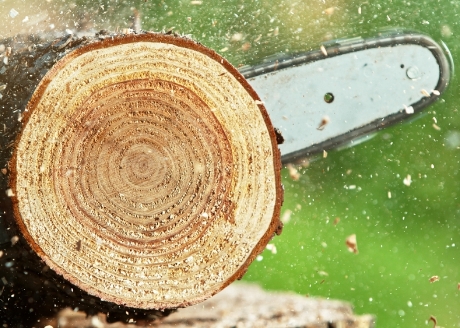 Maks. moc przeliczeniowa silnika