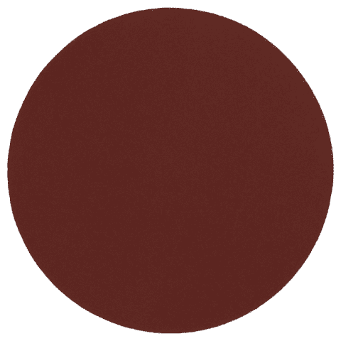 Krążek z rzepem 125&nbsp;mm P220 5&nbsp;szt.