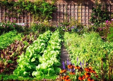 Wszechstronne zastosowanie