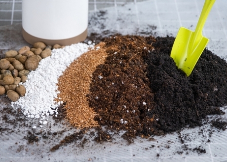 Mieszanka torfu ciemnego i jasnego