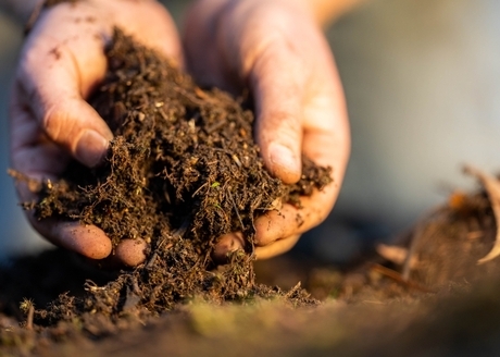 Prawidłowy przebieg kompostowania