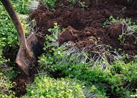 Przyśpiesza rozkład materii organicznej