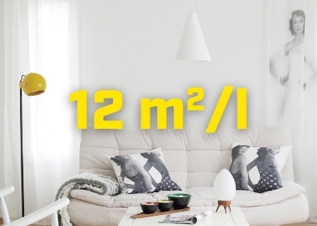 Wydajność 12 m² / l