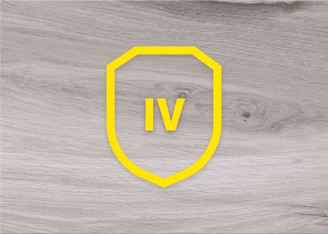 KLASA ŚCIERALNOŚCI IV