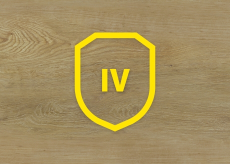 KLASA ŚCIERALNOŚCI IV