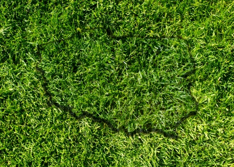 Dostosowana do Polskich warunków klimatycznych