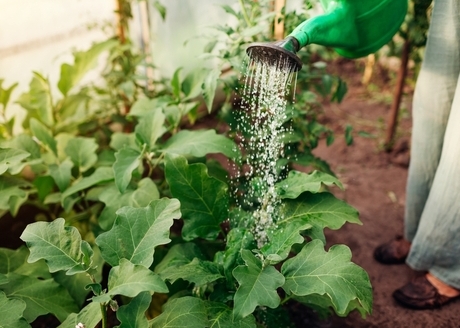 Wysokiej jakości tworzywo sztuczne