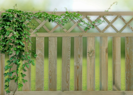 Idealne podparcie pod pnące rośliny