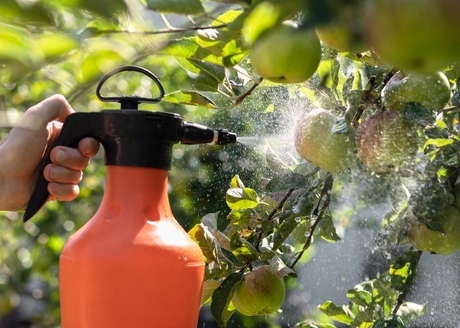 Wszechstronność użytkowania