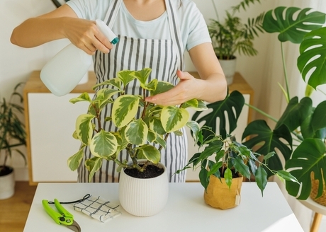 regulacja stopnia rozpylenia