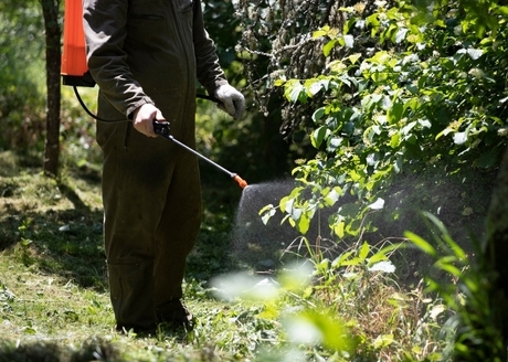 Wszechstronność użytkowania