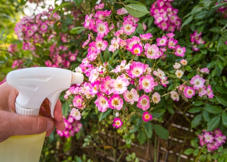 Wszechstronność użytkowania