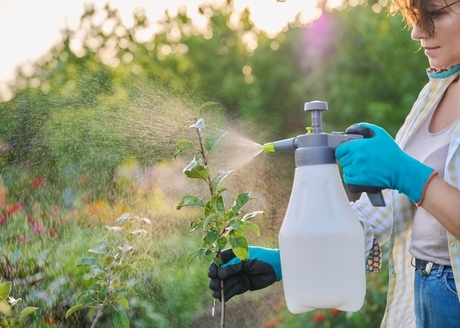 Wszechstronność użytkowania