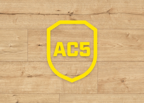 KLASA ŚCIERALNOŚCI AC5