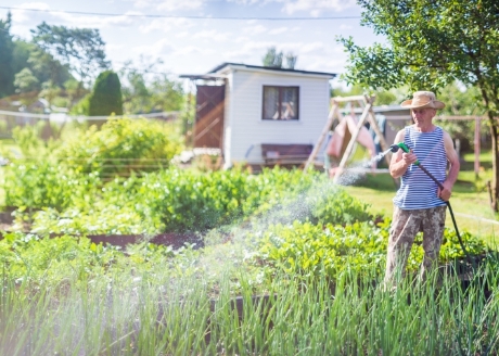 Wszechstronność użytkowania