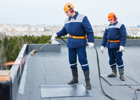 OCHRONA PRZED WILGOCIĄ