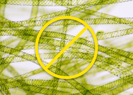 Odporny na osadzanie się glonów wewnątrz