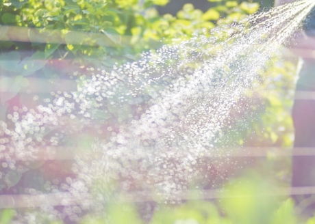 Idealny do nawadniania ogrodu