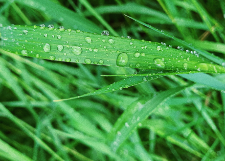 Trwałość konstrukcji