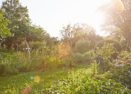 Estetyczne wzornictwo