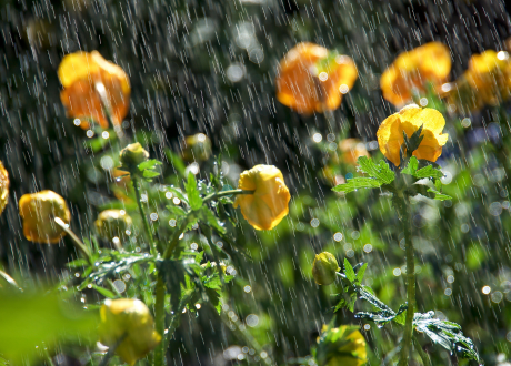 Wytrzymałość zestawu
