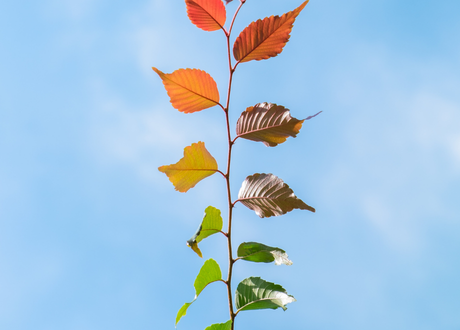 Wysoka wytrzymałość