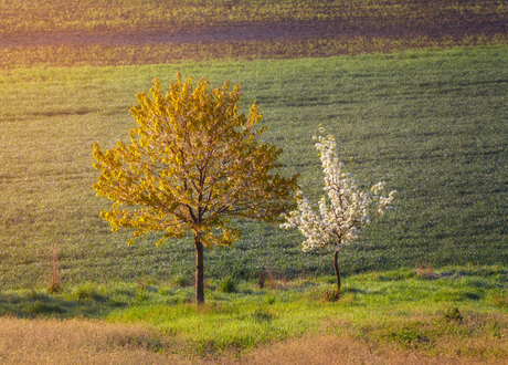 Odporność i trwałość