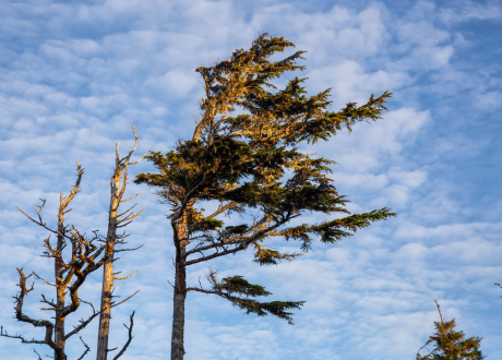 Solidna i trwała konstrukcja