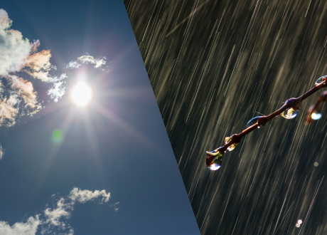 Trwałość przez cały rok