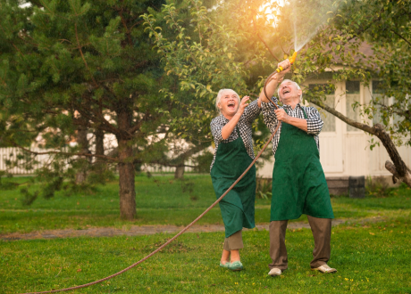 Uniwersalność użycia