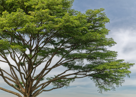 Lekka i wytrzymała konstrukcja