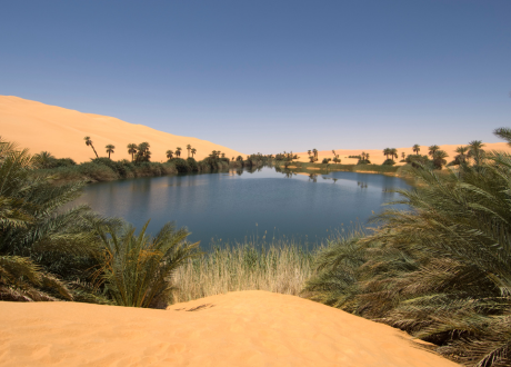 Ochrona przeciwsłoneczna
