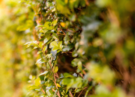 Skuteczne w działaniu
