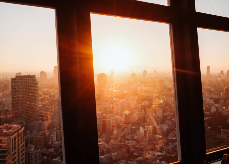 Odporność na światło