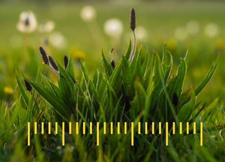 Uniwersalne zastosowanie
