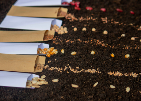 Dodatkowe udogodnienie
