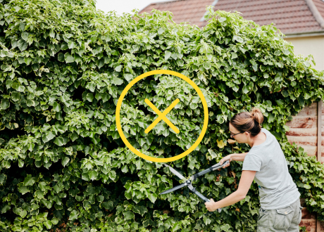 Niewielka masa własna