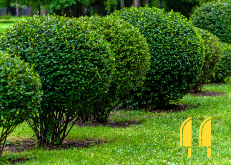 Efektywność działania
