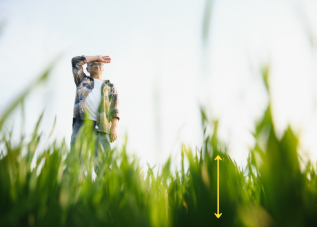 Regulacja wysokości koszenia
