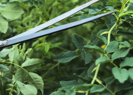 Wyprofilowane ostrza 