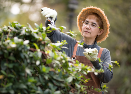Falowane ostrza górne i dolne