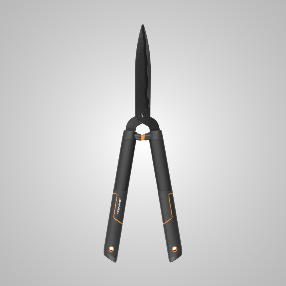 Farba lateksowa Clean&Color Limonkowa Tafta 2,5 l Dekoral