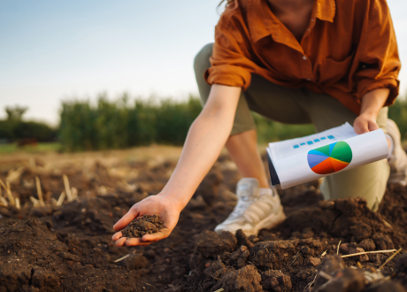 Wielofunkcyjne działanie
