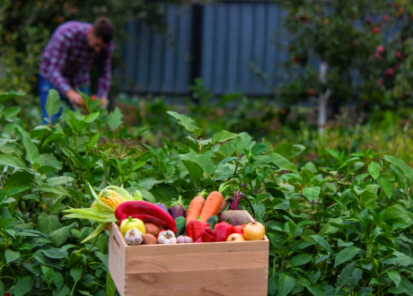 Uniwersalne zastosowanie 