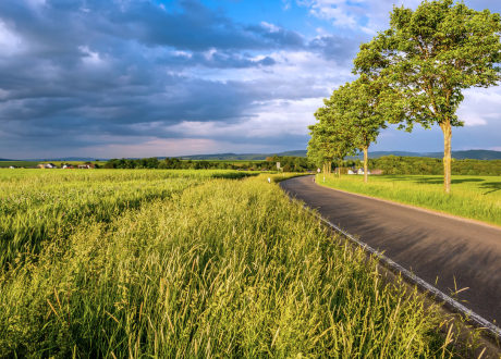 Rekultywacja obszarów przydrożnych