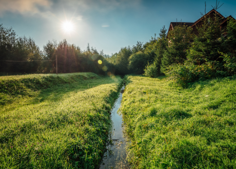 Do obsiewu pasów przydrożnych
