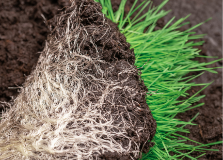 Odporność na warunki pogodowe
