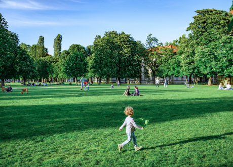 Do zakładania trawników sportowych
